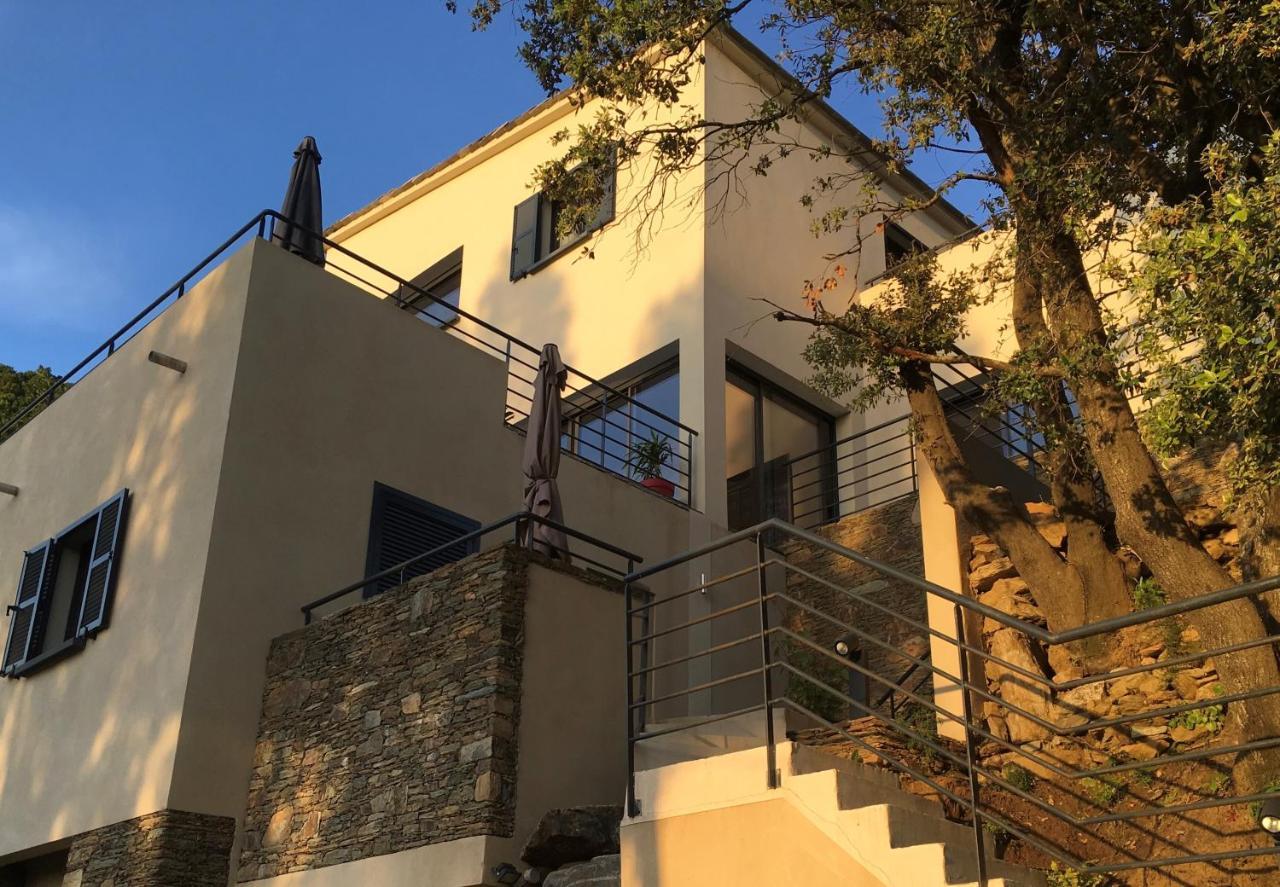A Casa Di Campa Villa Oletta  Eksteriør bilde
